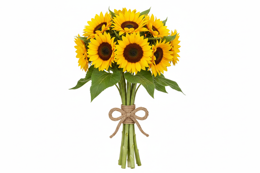 10 stems of yellow sunflowers tied together with a light brown string