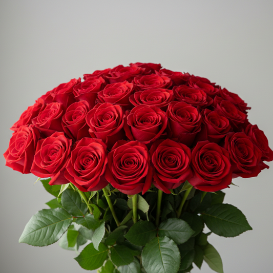 20 red roses