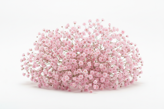 baby pink baby breath